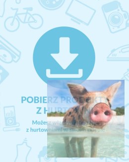 Drugi Przykładowy produkt2