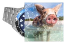 Zegarek męski ABDC10SIDX03AX