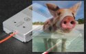 Data Link / Programator WiFi dla T-MOTOR Alpha ESC