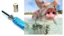 Klips krótki rozkręcany z akumulatorkiem Ni-MH 1800mAh i wskaźnikiem oraz ładowarką 200/250mAh
