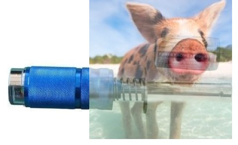 Klips krótki rozkręcany z akumulatorkiem Ni-MH 1800mAh i wskaźnikiem Klips krótki rozkręcany z akumulatorkiem Ni-MH 1800mAh i wskaźnikiem