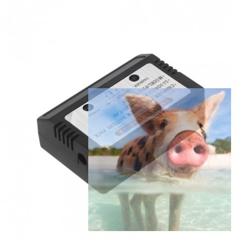 Ładowarka 3S 11.1V 800mA LiPo - Balanser 3S Ładowarka 3S 11.1V 800mA LiPo - Balanser 3S