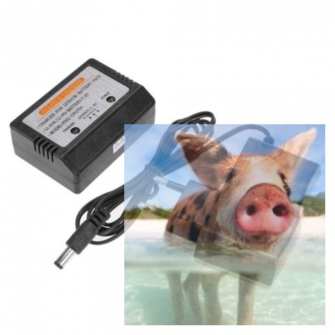 Ładowarka LiPo 7.4V 350mA Balanser 2S - WL L959-A-03-01 Ładowarka LiPo 7.4V 350mA Balanser 2S - WL L959-A-03-01