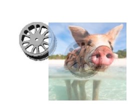 Rear wheel rims - 85022