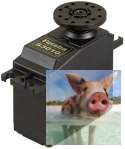 Serwo Futaba S3010 (Standard, 6.48kg/6.0V, 0.16 sec./60*)