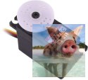 Serwo HS-311 (3.0kg/4.8V, 0.19sek/60*)