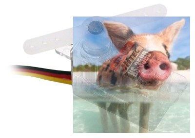Serwo HS-35HD (0.8kg/4.8V, 0.1sek/60*)