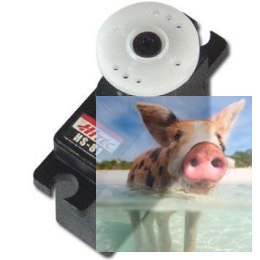 Serwo Hitec HS 81 (micro, 2.6kg/4.8V, 0.11sek/60*)