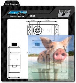 Serwo MKS DS95 (6V, 0.053s/60, 3.05kg-cm)