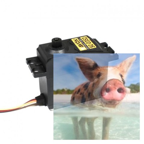 Serwo Savox SC-0352 42g (6.5kg/.0,11sec) Serwo Savox SC-0352 42g (6.5kg/.0,11sec)