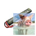 1250mAh 7.4V 25/50C Gens Ace Airsoft Gun