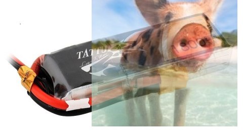 1800mAh 11.1V 75C TATTU Gens Ace