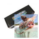 2200mAh 7.4V 30C SOARING Gens Ace - XT60