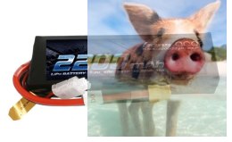 2200mAh 7.4V 50C Gens Ace
