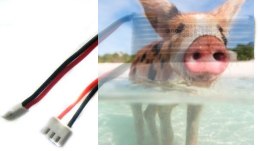 300mAh 7.4V LiPo Molex/Walkera - WL F959-010