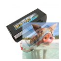 4000mAh 7.4V 25C SOARING Gens Ace - XT90