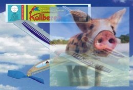 KOLIBEREK - samolot z napędem gumowym