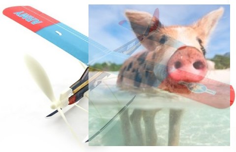 Szybowiec Aviator-Beaver 450mm z napędem gumowym Szybowiec Aviator-Beaver 450mm z napędem gumowym