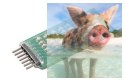 Wskaźnik napięcia LED do akumulatorów Lipo 2-6