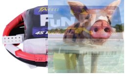 1550mAh 14.8V 100C Funfly Series Gens Ace