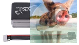 1550mAh 14.8V 75C TATTU Gens Ace z wpinanym przewodem balansera