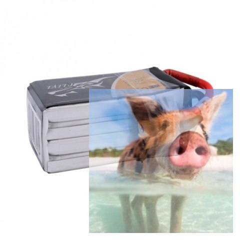 1550mAh 14.8V 75C TATTU Gens Ace z wpinanym przewodem balansera 1550mAh 14.8V 75C TATTU Gens Ace z wpinanym przewodem balansera