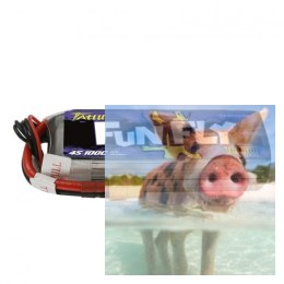 1800mAh 14.8V 100C Tattu Funfly Series Gens Ace