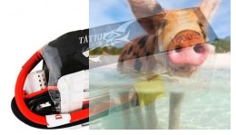 1800mAh 22.2V 45C TATTU Gens Ace