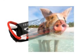 2300mAh 14.8V 45C TATTU Gens Ace