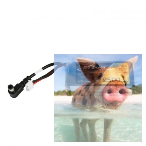 2500mAh 7.4V Gens Ace TATTU for Fatshark Goggles 2500mAh 7.4V Gens Ace TATTU for Fatshark Goggles
