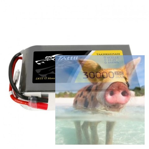 30000mAh 22.2V 25C TATTU Gens Ace AS150+XT150 30000mAh 22.2V 25C TATTU Gens Ace AS150+XT150