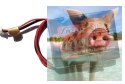 4000mAh 7.4V 5C RX Gens Ace - odbiornikowy