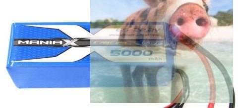 5000mAh 22.2V 45C eXpert ManiaX 5000mAh 22.2V 45C eXpert ManiaX