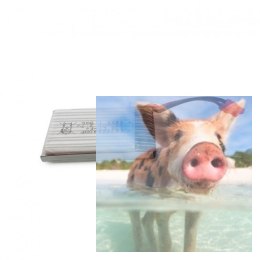 500mAh 3.7V Li-Po do TF1001
