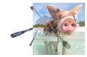 Rama quadcopter Tarot Kit TL65S01 650mm