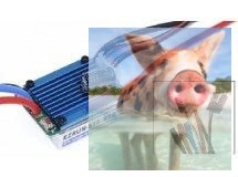 Regulator bezszczotkowy 30A EZRUN-S16