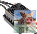 Regulator bezszczotkowy 50A 2-3S BEC 6V/2.0A - E245T