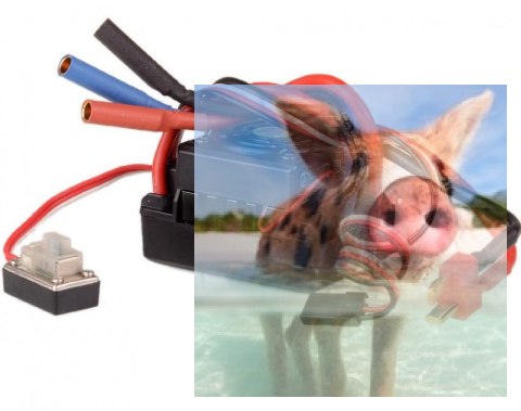 Regulator bezszczotkowy 50A 2-3S BEC 6V/2.0A - E245T Regulator bezszczotkowy 50A 2-3S BEC 6V/2.0A - E245T