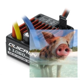 Regulator prędkości QuicRun 1060 V2