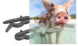 Spinki