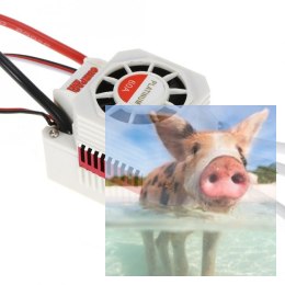 Wodoodporny regulator obrotów Rocket A1 Platinum ESC 60A 2-3S BEC 5.8V/3A