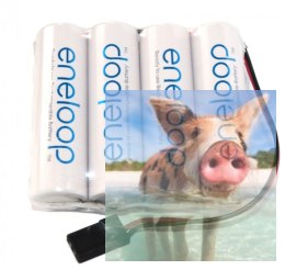 Eneloop 1900mAh 4.8V NiMH JR