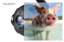 Gimbal Tarot Peeper TL10A00 3 osiowy z kamerą 1080P 60FPS 10x zoom
