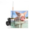 Kamera TX04 PAL z VTX (5.8GHz 40CH 25mW, 700TVL, 120FOV, 2.5V-5.5V)