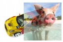 Mini Car RC 1:58 - kolor losowy