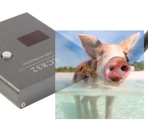 Odbiornik FPV RC832 AV 5.8GHz 32CH 12V Odbiornik FPV RC832 AV 5.8GHz 32CH 12V