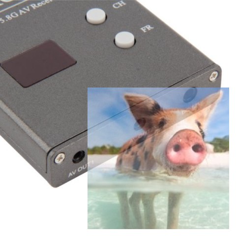 Odbiornik FPV RC832 AV 5.8GHz 32CH 12V Odbiornik FPV RC832 AV 5.8GHz 32CH 12V