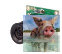 RunCam Mini FPV (2.8mm, 600TVL, 5-17V)