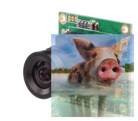 RunCam Mini FPV (2.8mm, 600TVL, 5-17V) RunCam Mini FPV (2.8mm, 600TVL, 5-17V)