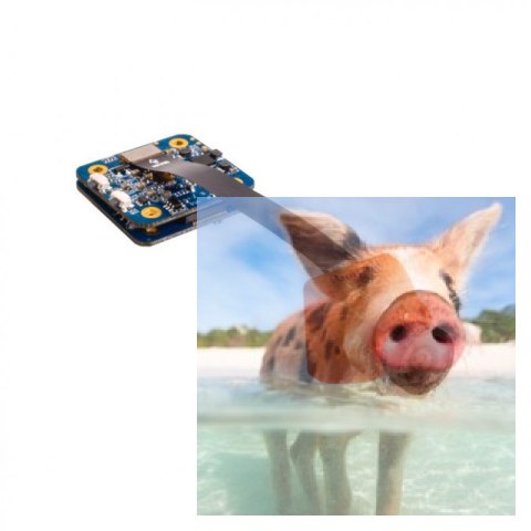 RunCam Split Mini (FOV165, 1080p 60FPS, 15g, 5-17V) RunCam Split Mini (FOV165, 1080p 60FPS, 15g, 5-17V)